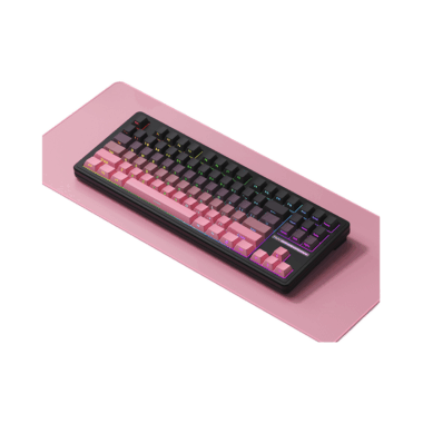 ProV2 customized mechanical gasket keyboard