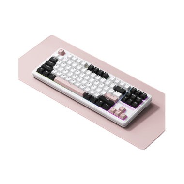 ProV2 customized mechanical gasket keyboard